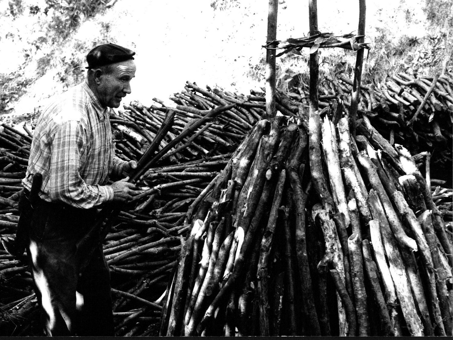 Costruzione di una carbonaia_1