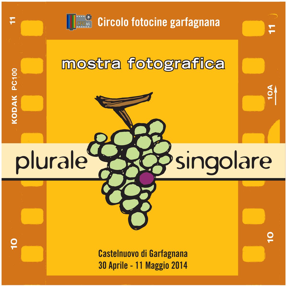 plurale di pioggia