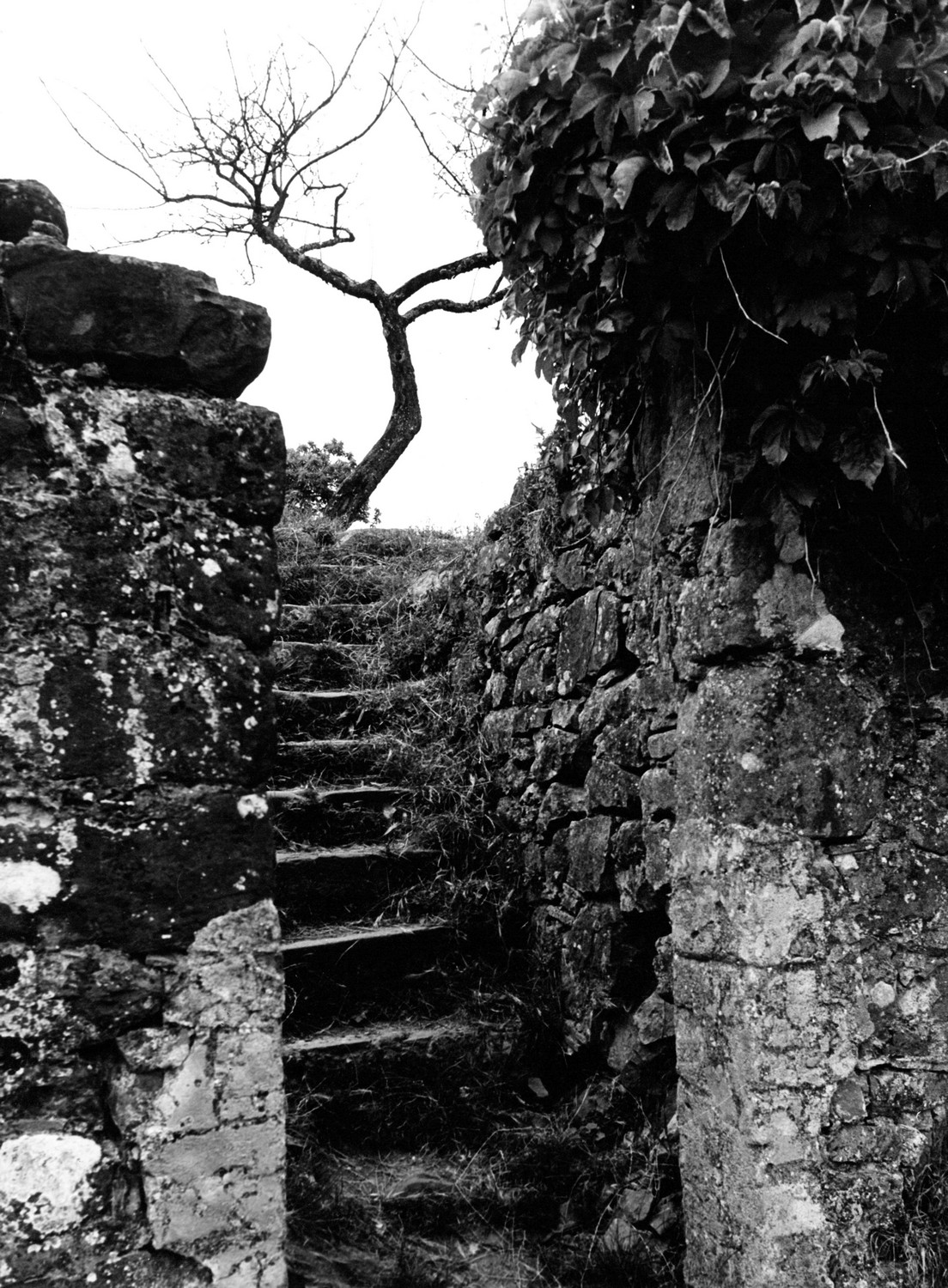Scorcio con scala