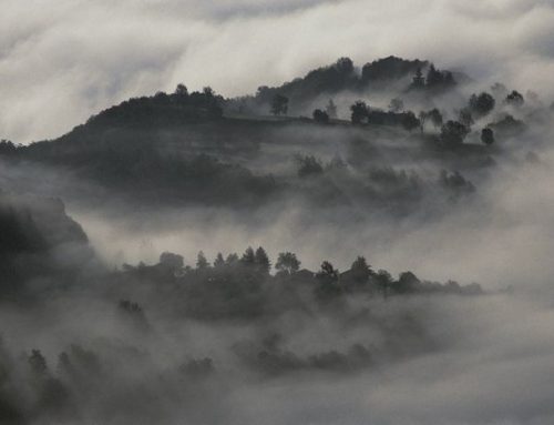 FOTOGRAFIE RODOLFO PUCCI