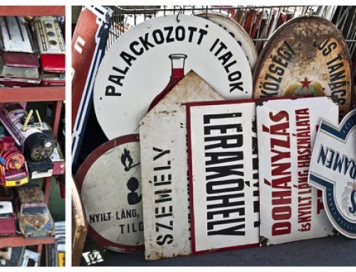 Lasolitudinedellecose